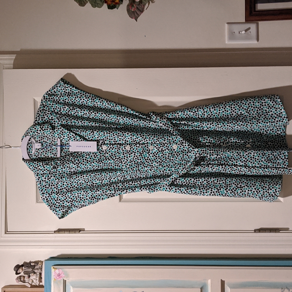 NWT Cute Retro Inspired Popsugar Dress